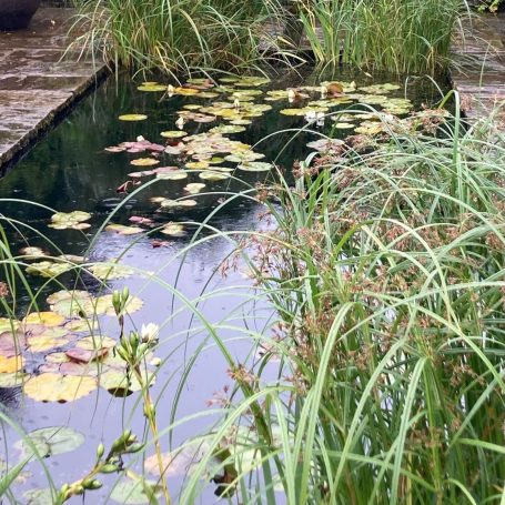 Ponds and Water Features